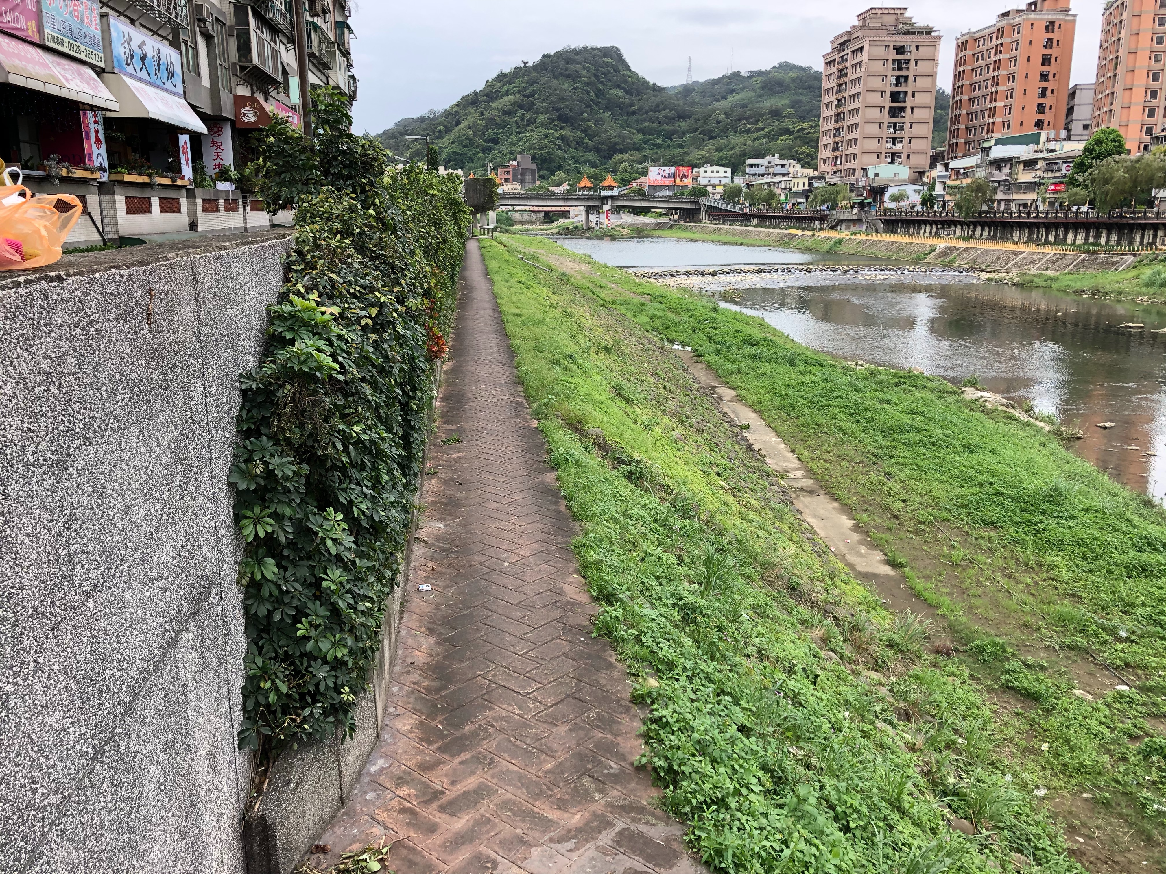 三峽大橋至三峽拱橋堤坡雜草垃圾清除