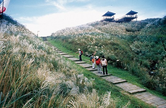 草嶺古道