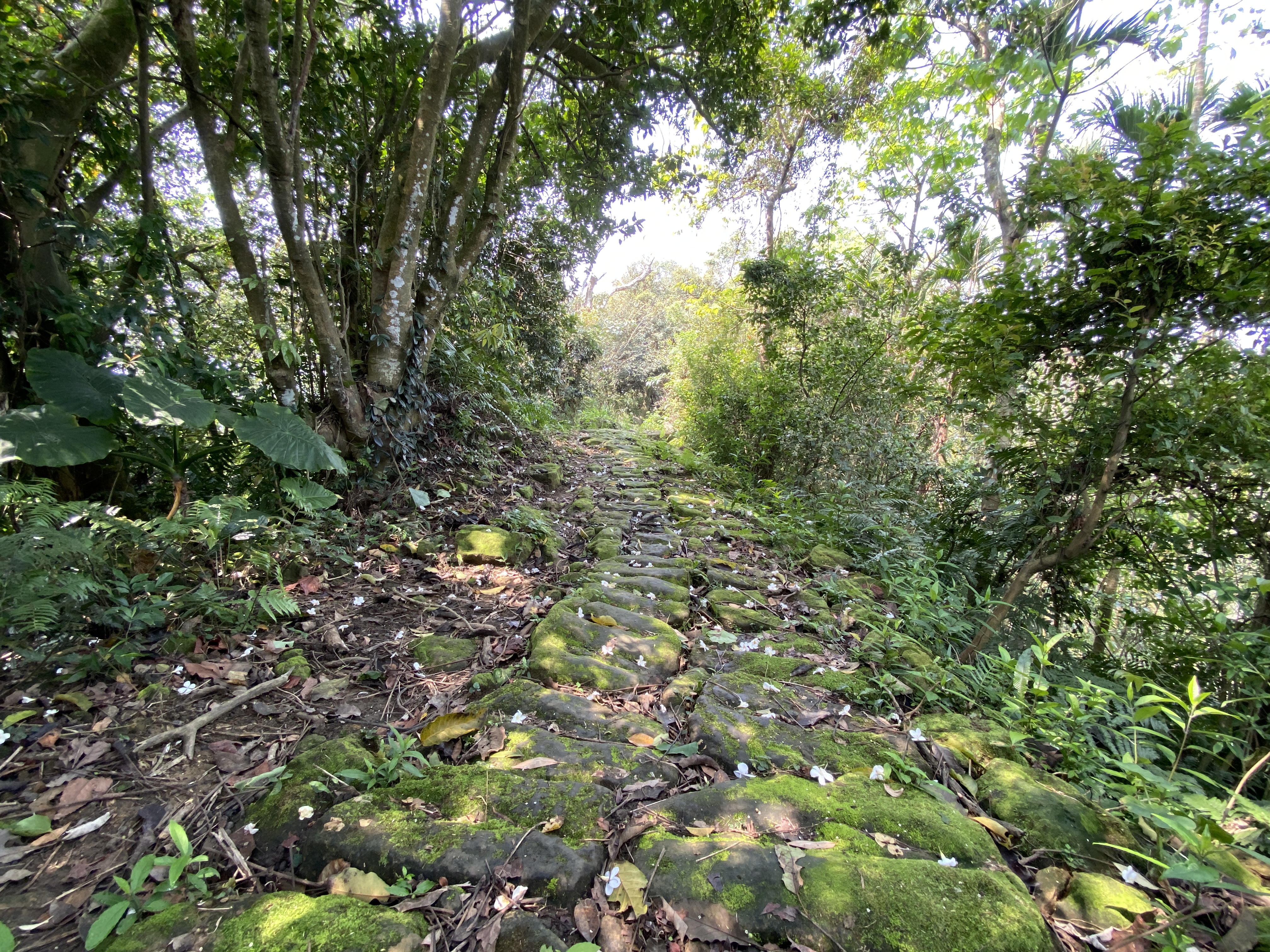 土城