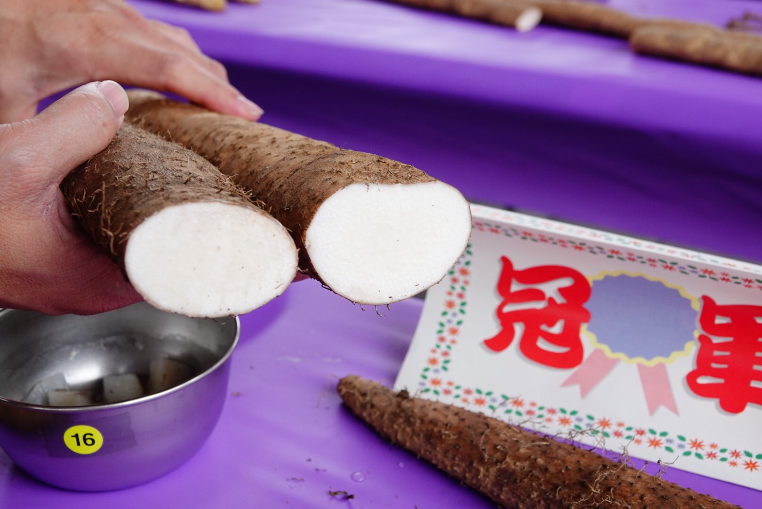 基隆原生種山藥近照