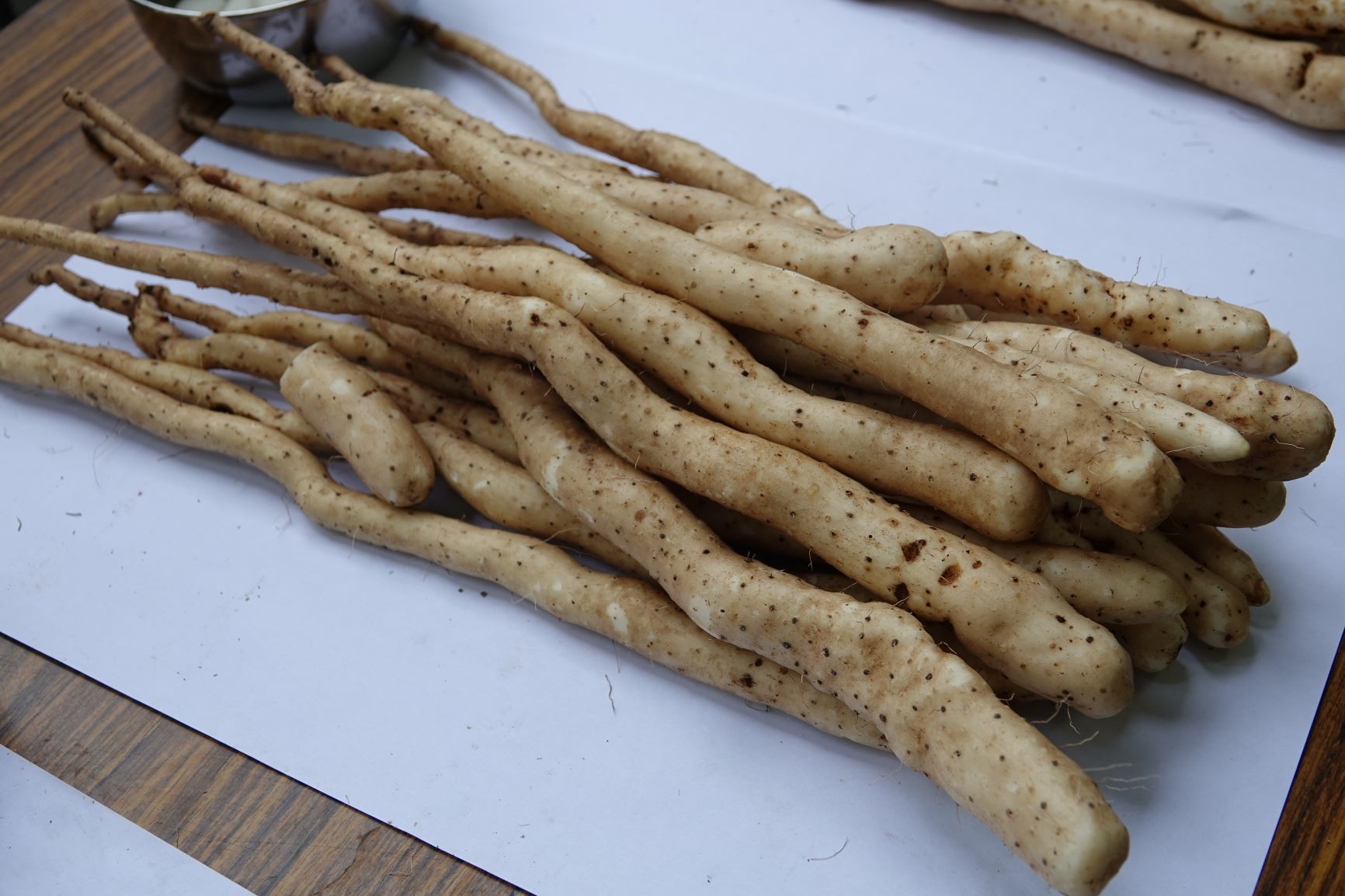 一根根拇指粗的非穴管栽培的原生種山藥