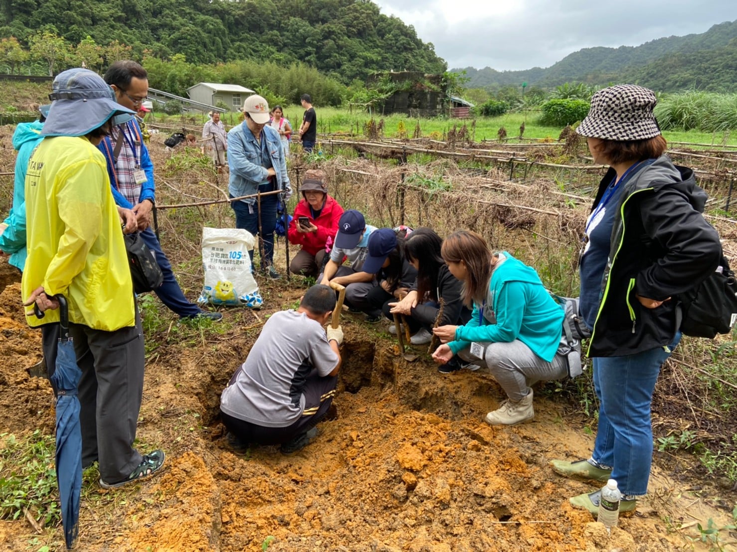 民眾參與山藥體驗活動