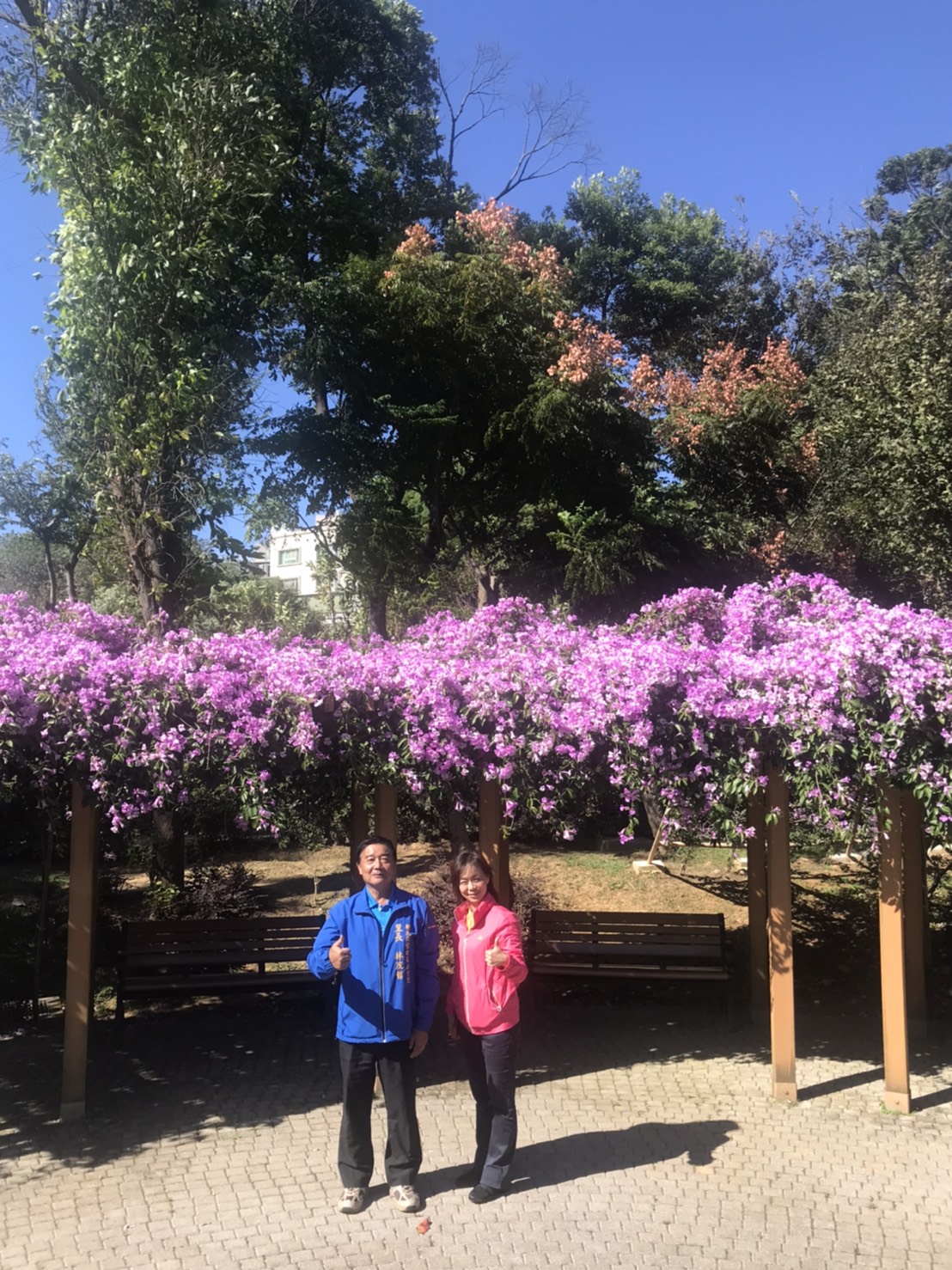 永吉公園美麗身影、秒間變網美