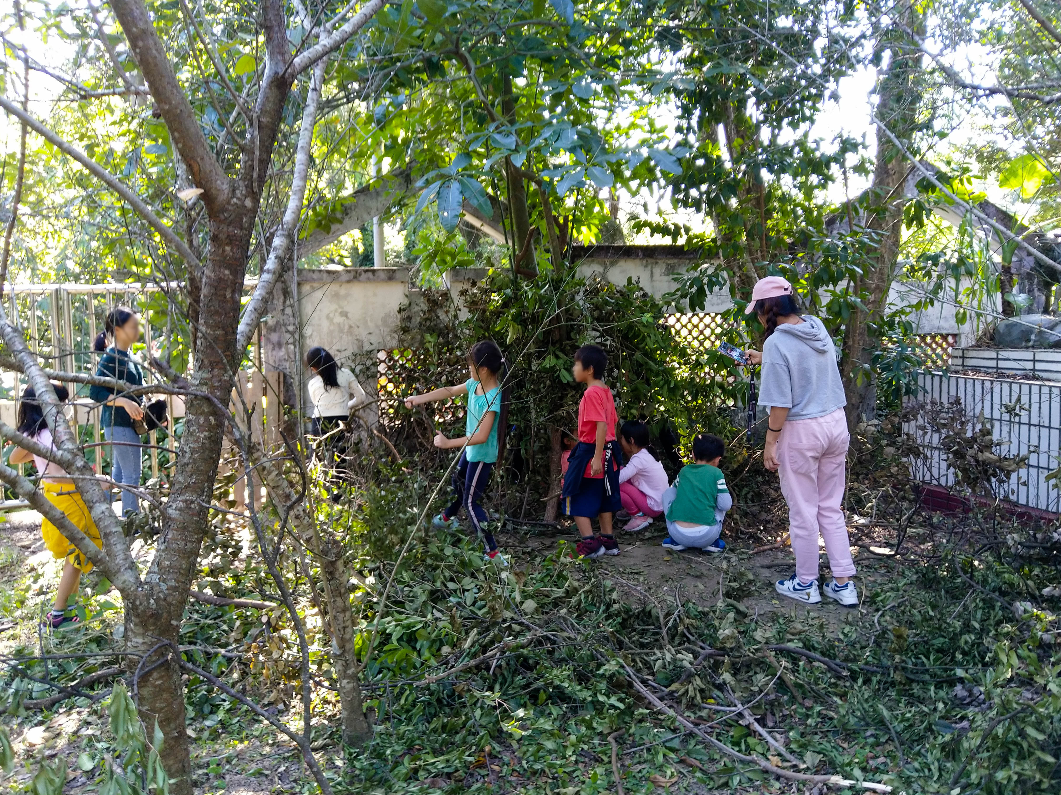 共同打造樹下秘密基地