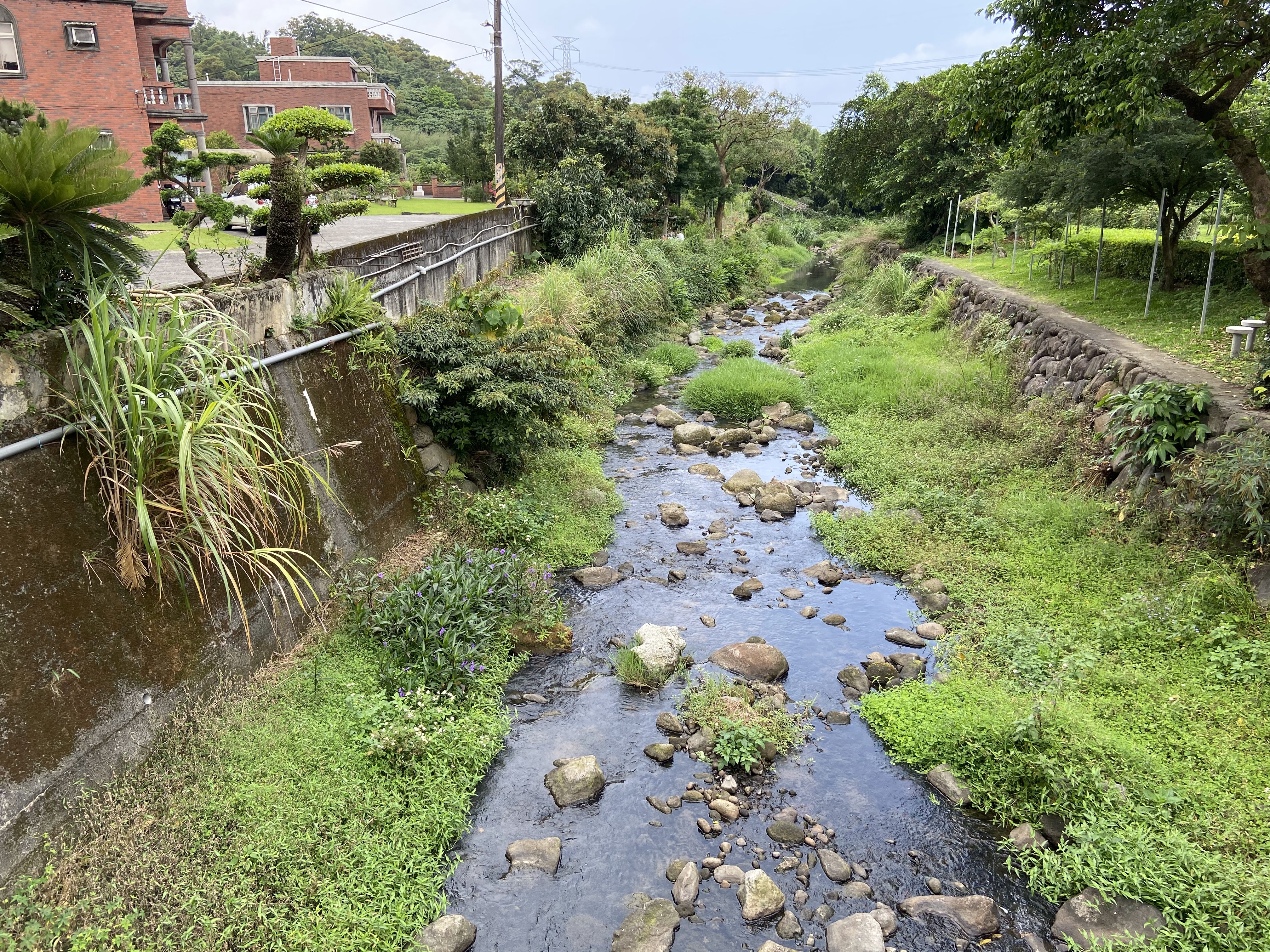 公司田溪淡水忠寮河段