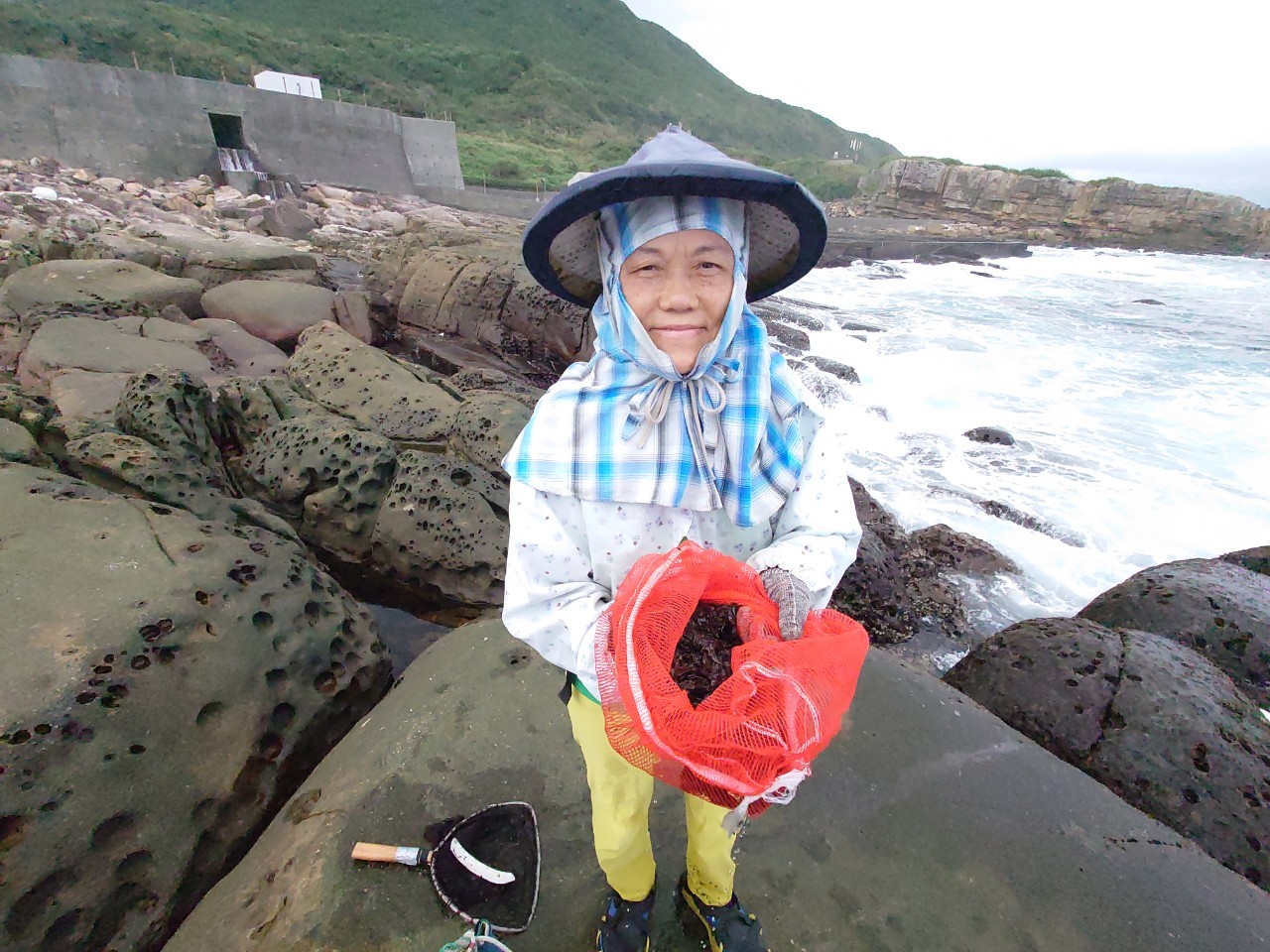 7-海女現採新鮮小紫菜
