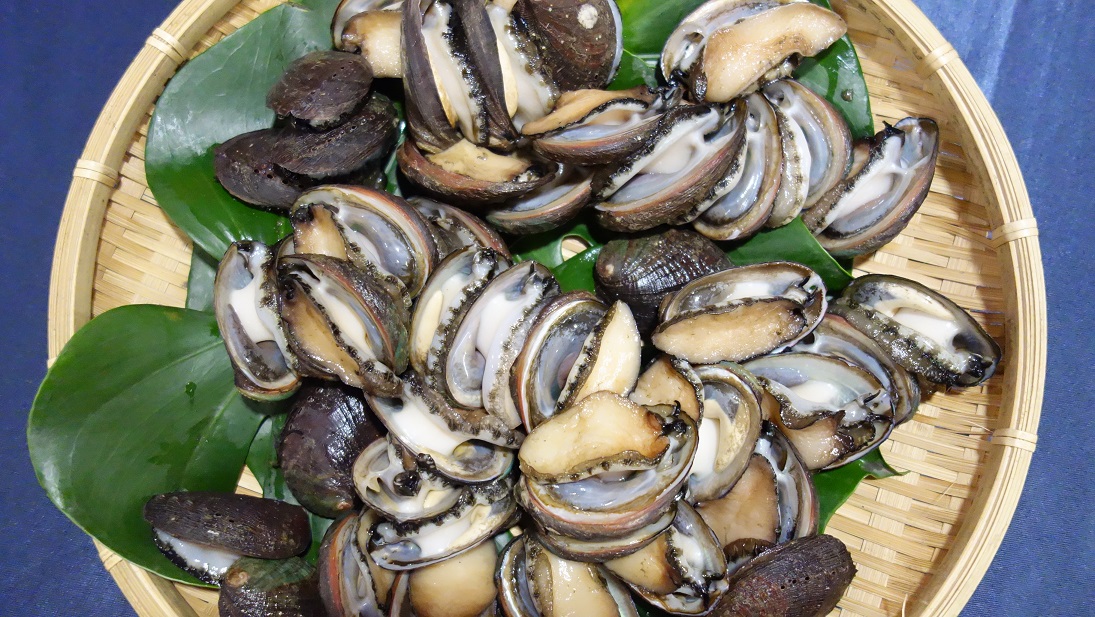 圖一：貢寮在地優質水產「貢寮鮑」現在正值產季