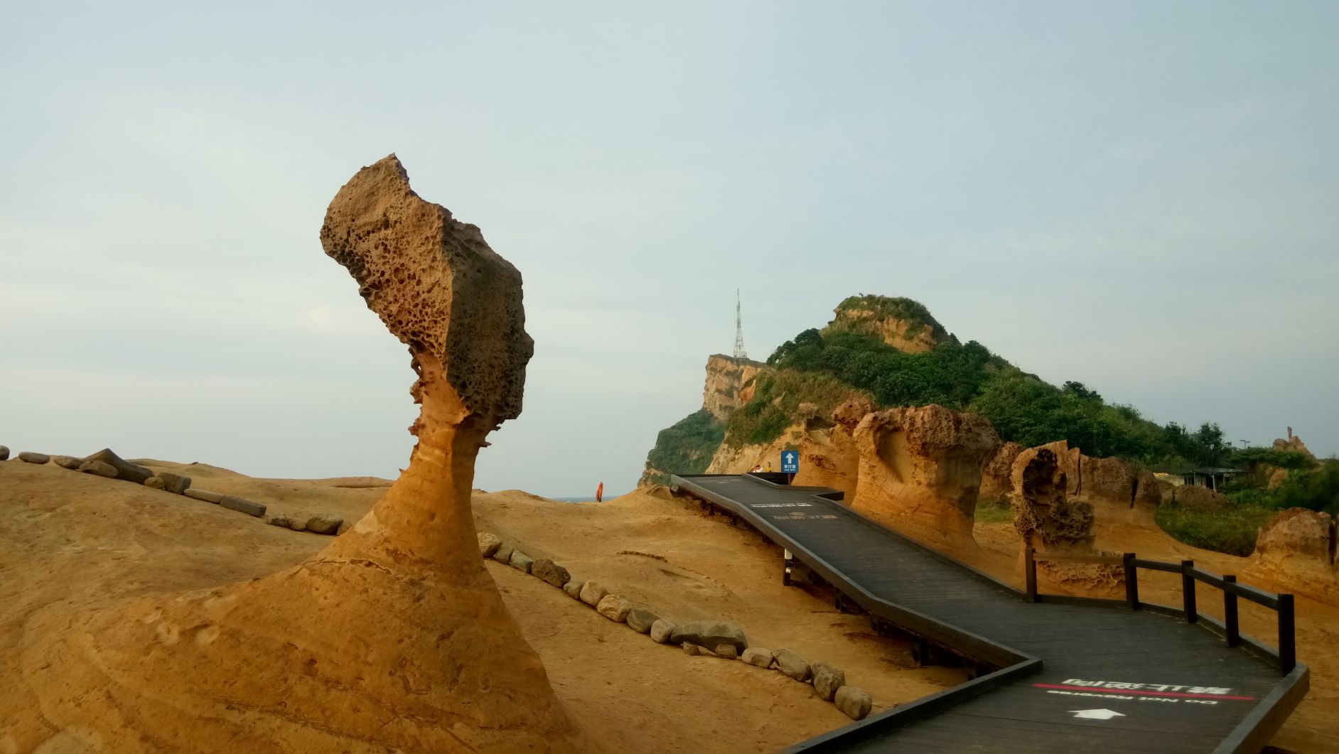 女王頭