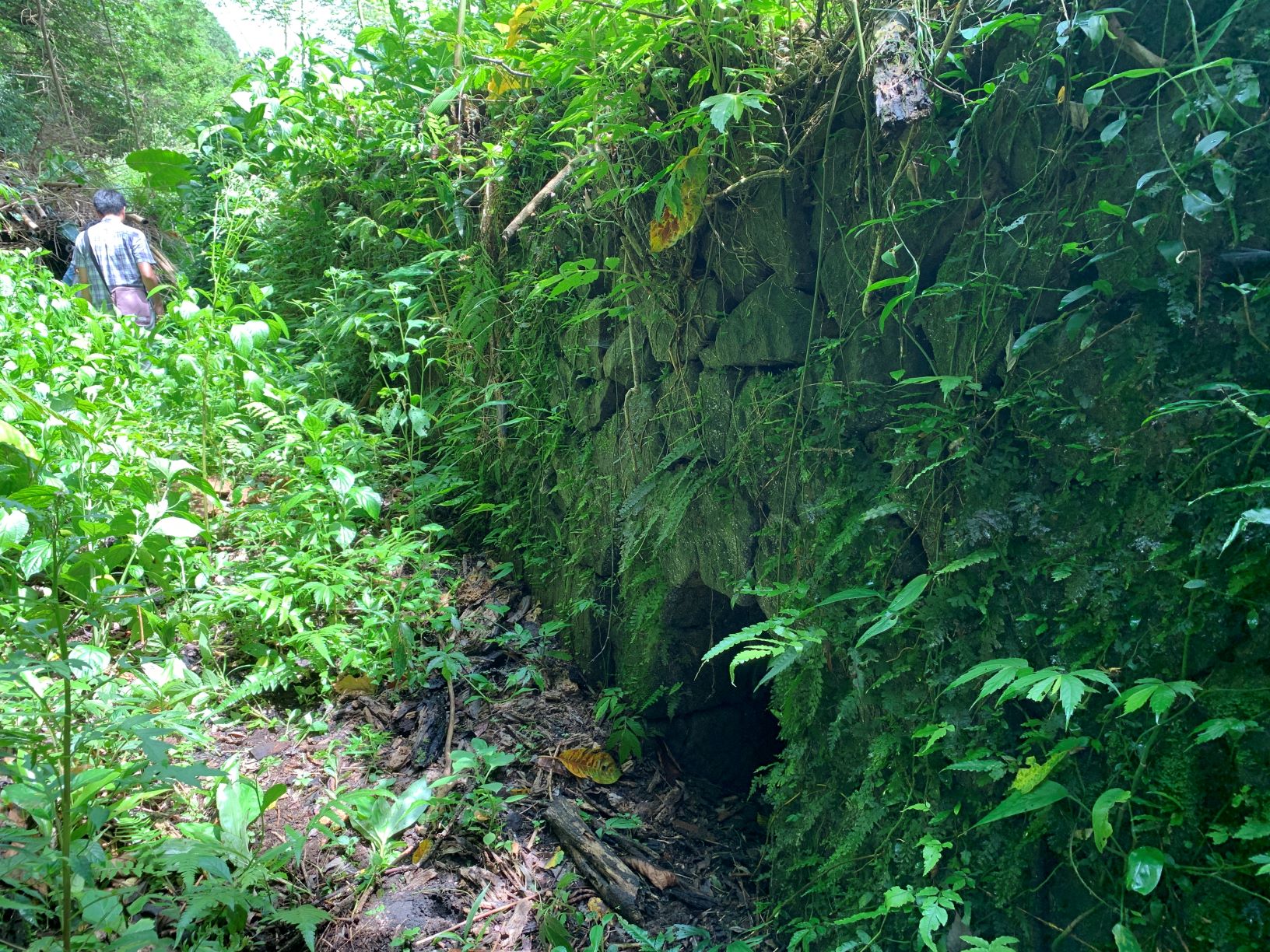 鹿母潭溪上游焦炭窯遺址