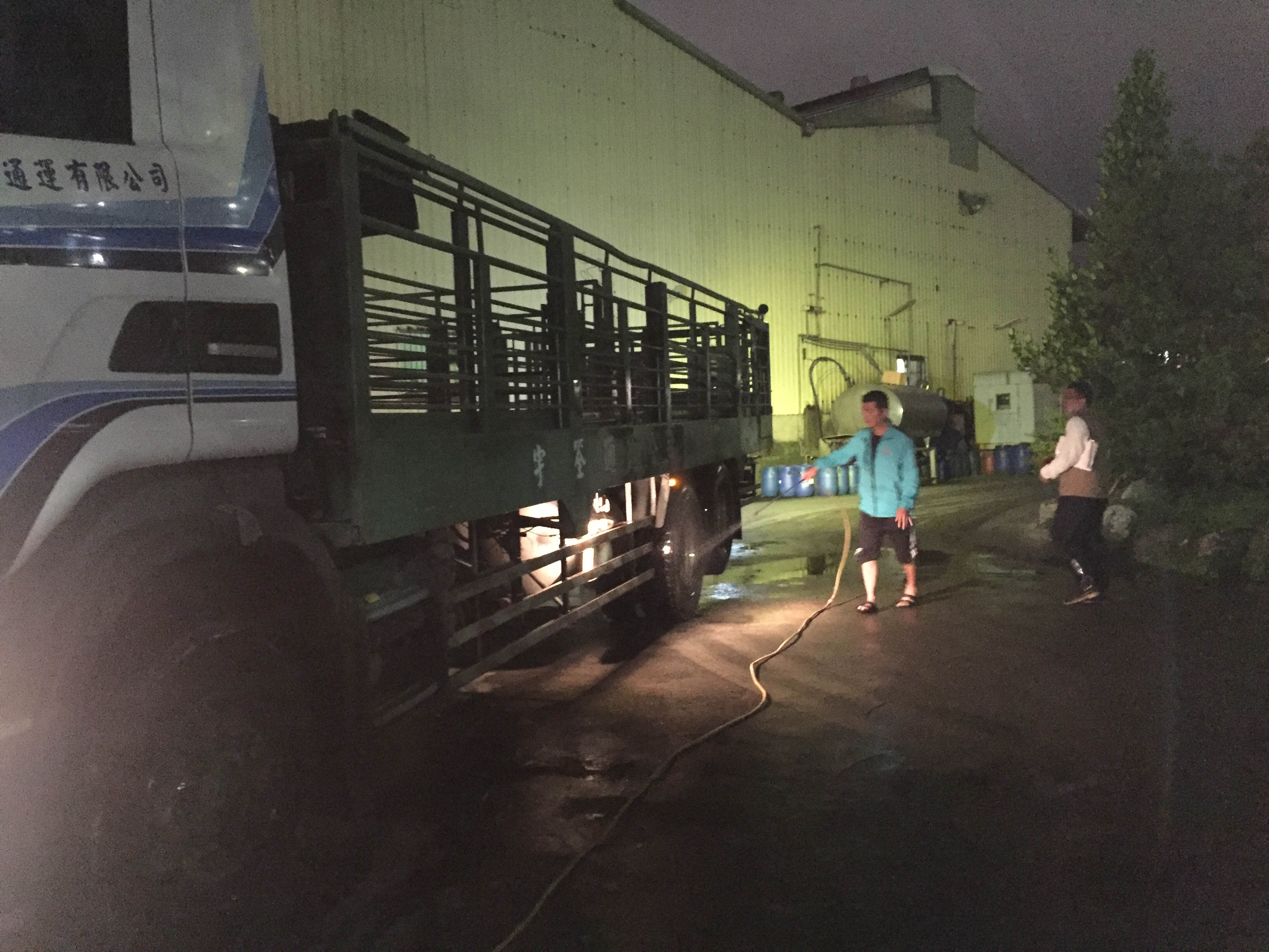 夜間屠宰場動物運輸車輛消毒稽查