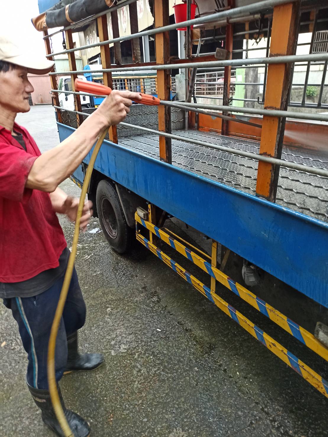 新北市樹林區屠宰場動物運輸車輛消毒稽查