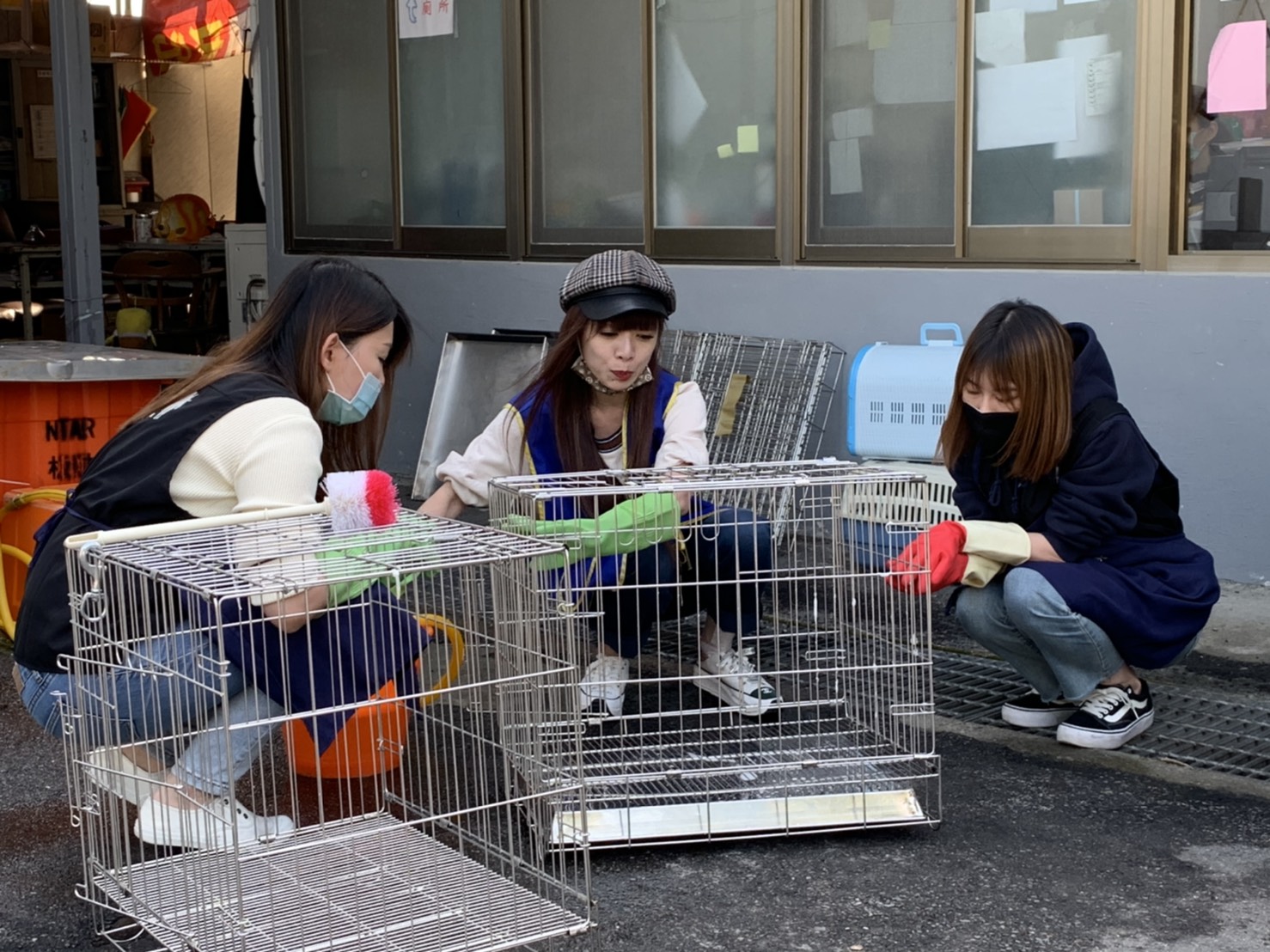 網路手遊《明日之後》代理商龍邑公司，帶領團隊到板橋動物之家擔任一日志工服務