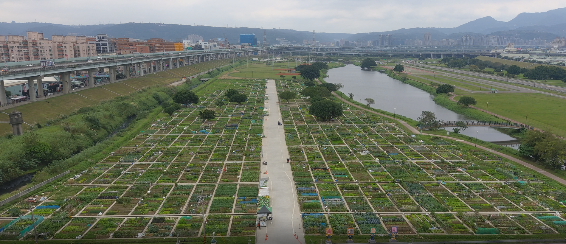 樂活農園有338格耕位開放登記抽籤，每格耕位耕種面積為50平方公尺(約15坪)，