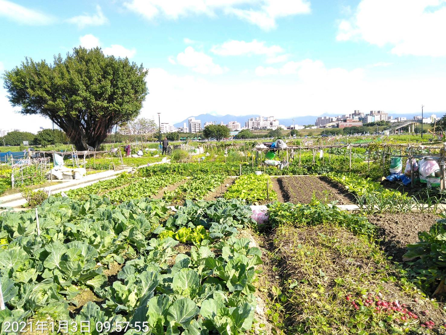 抽籤將於2月24日下午於高灘地工程管理處2樓陽光會議室辦理公開抽籤