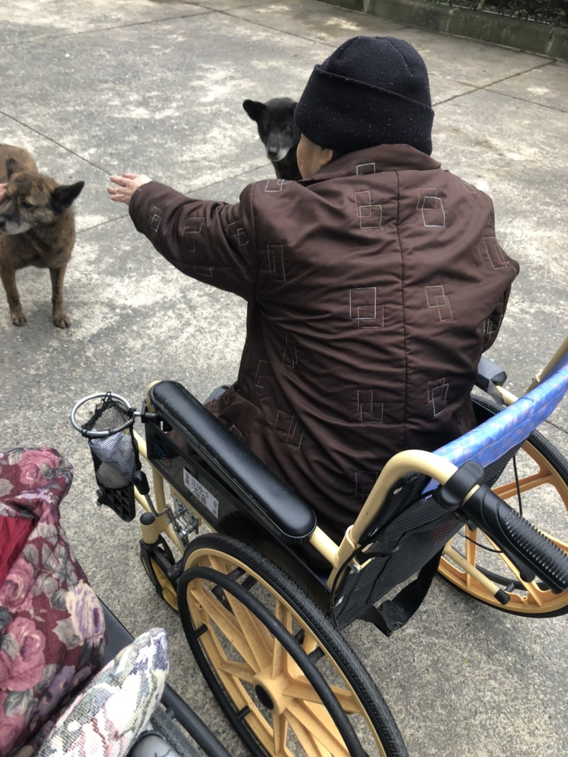 長者舉起手摸狗的動作，也是一種心靈和肢體的復建