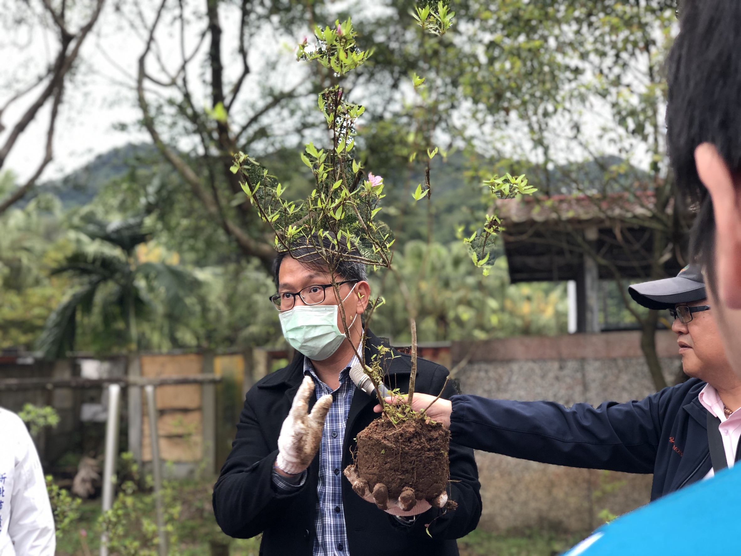 嘉義大學林瑞進副教授說明烏來杜鵑實生苗種植方式