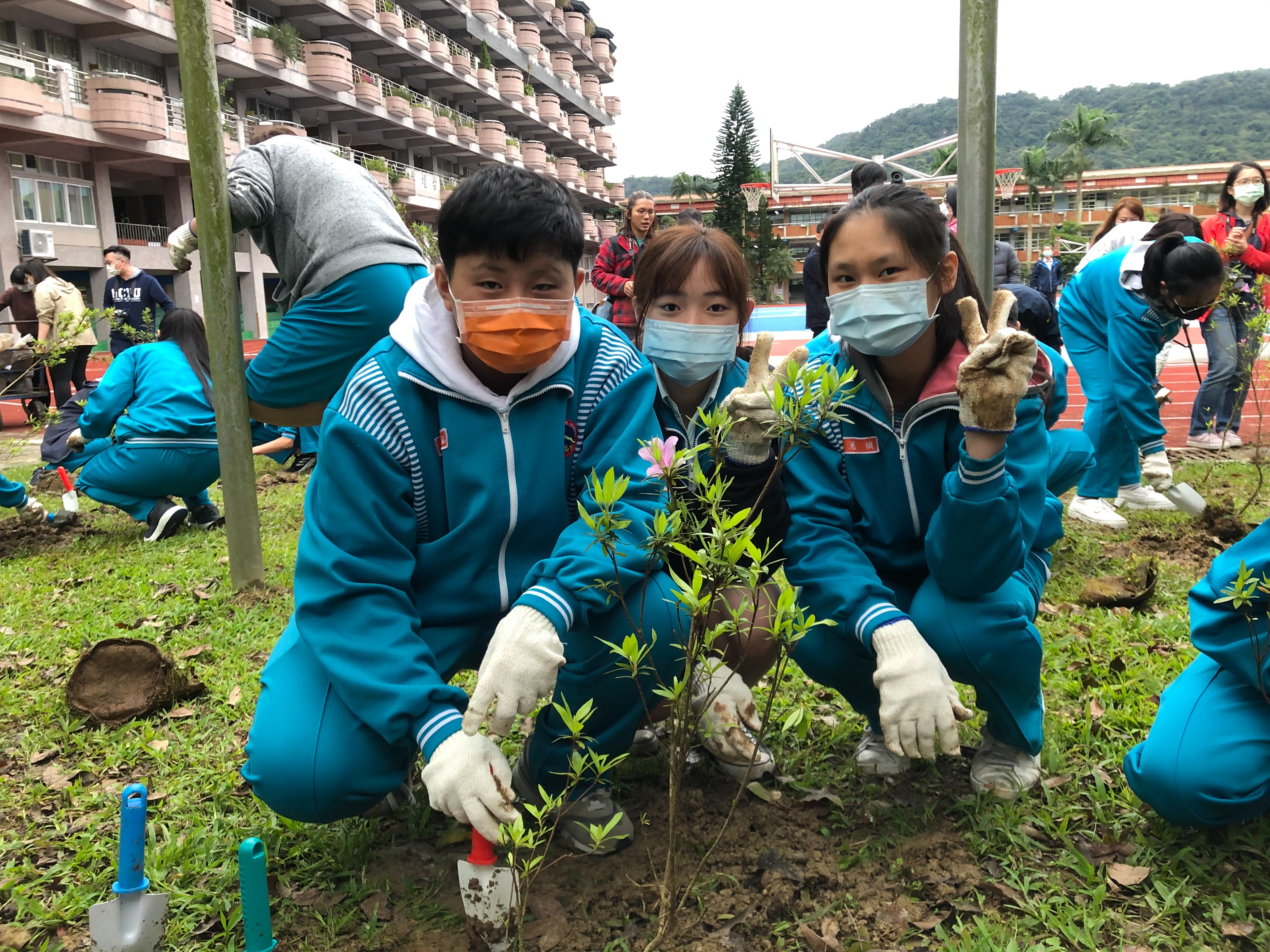 石碇高中學生體驗種植烏來杜鵑實生苗