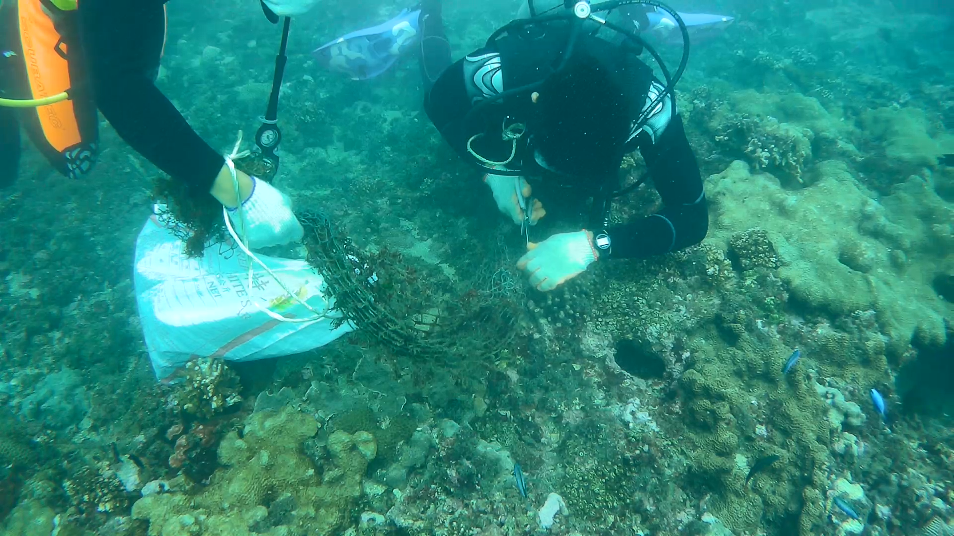 圖一：流失網具覆蓋礁石，潛水人員剪除覆網