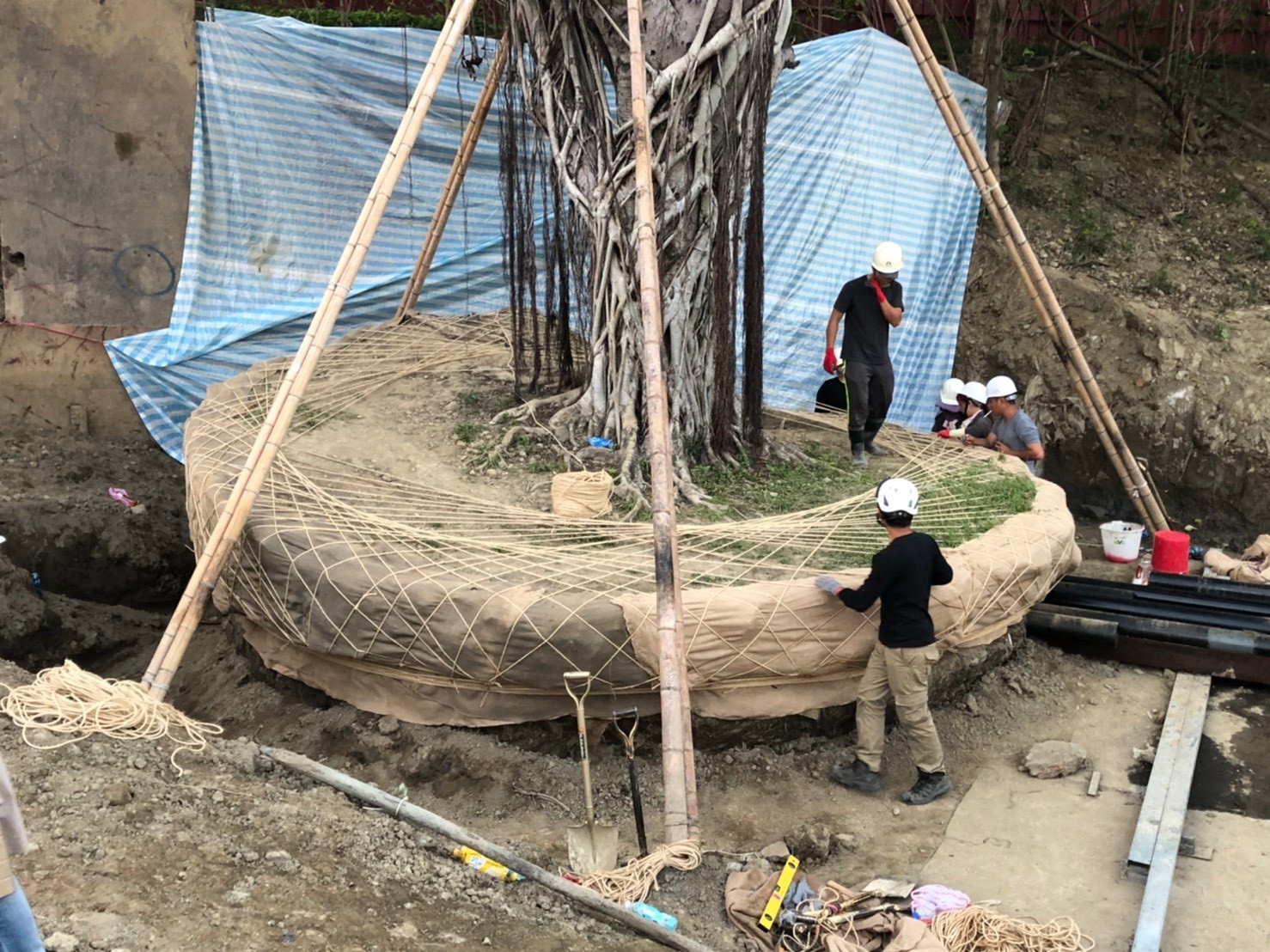 以包材包覆土球，增加保水避免土球崩解