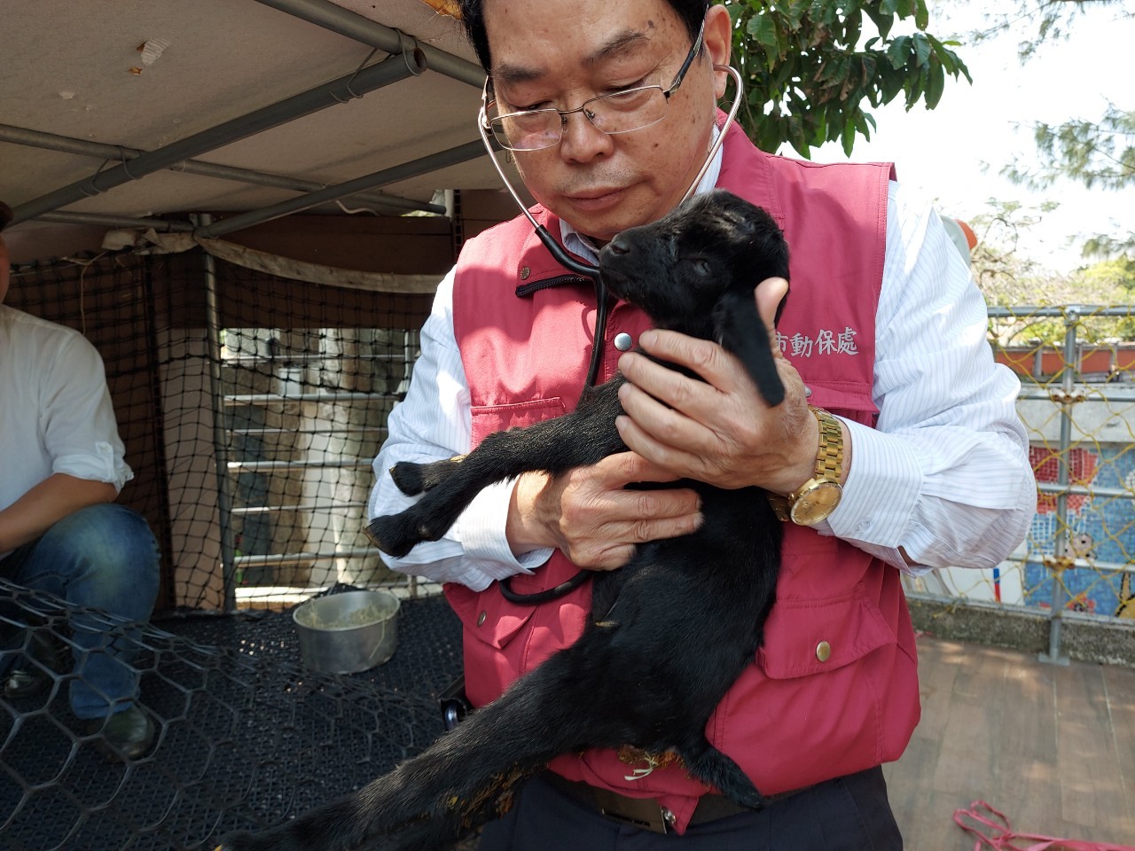獸醫幫乳羊健康檢查