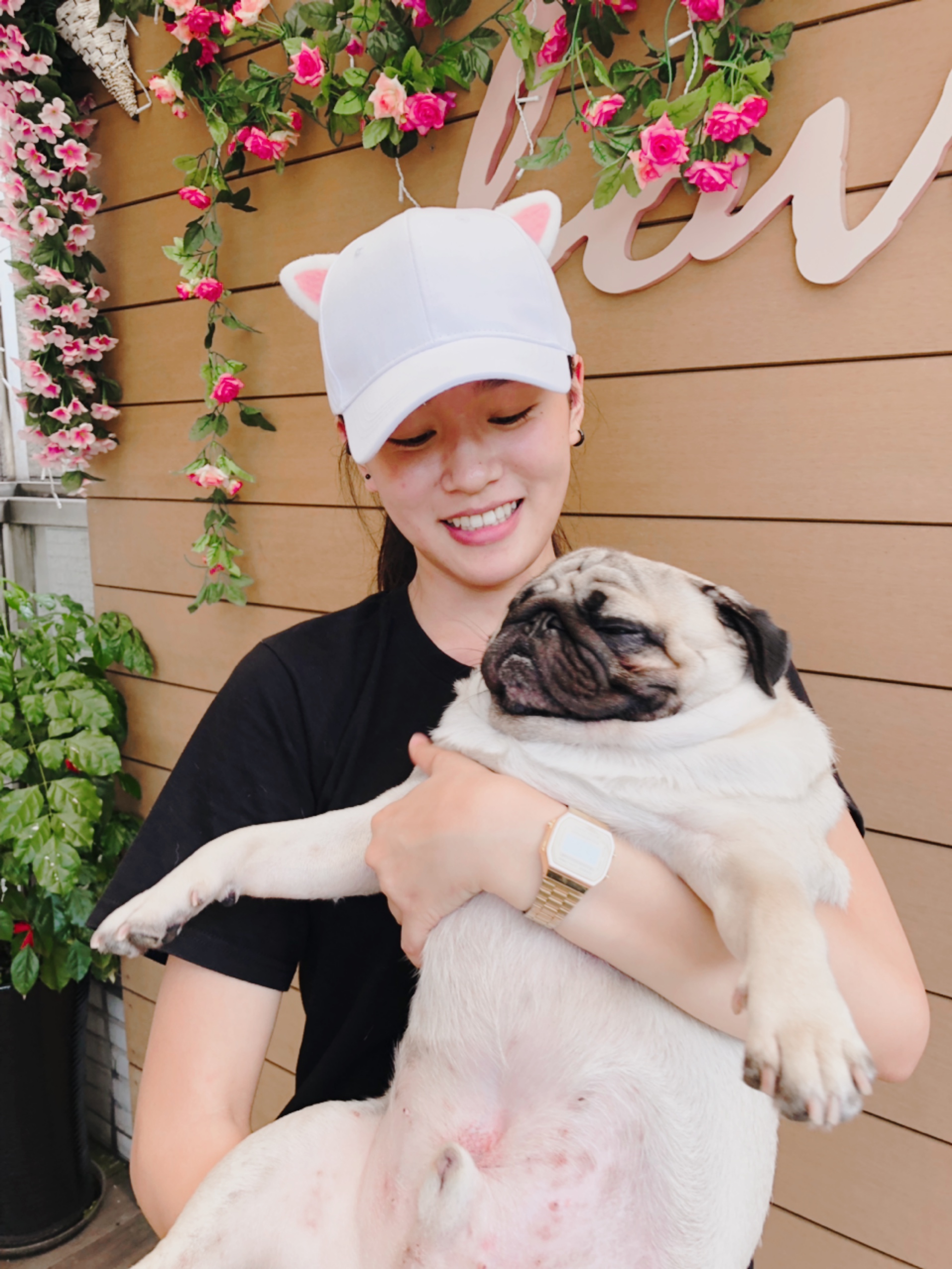 寵物友善店家與店狗