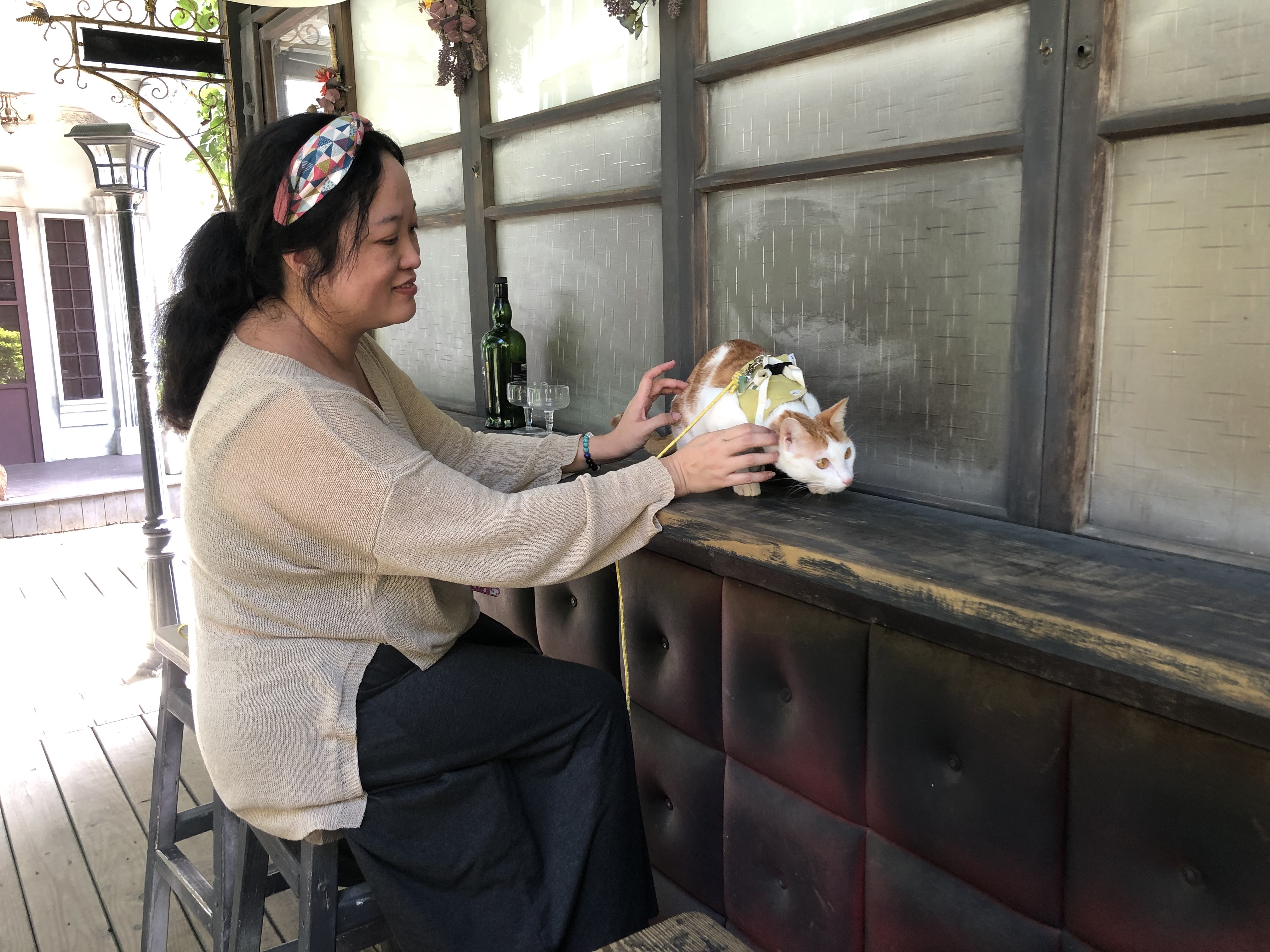 歡迎飼主與毛寶貝一起進入店家。