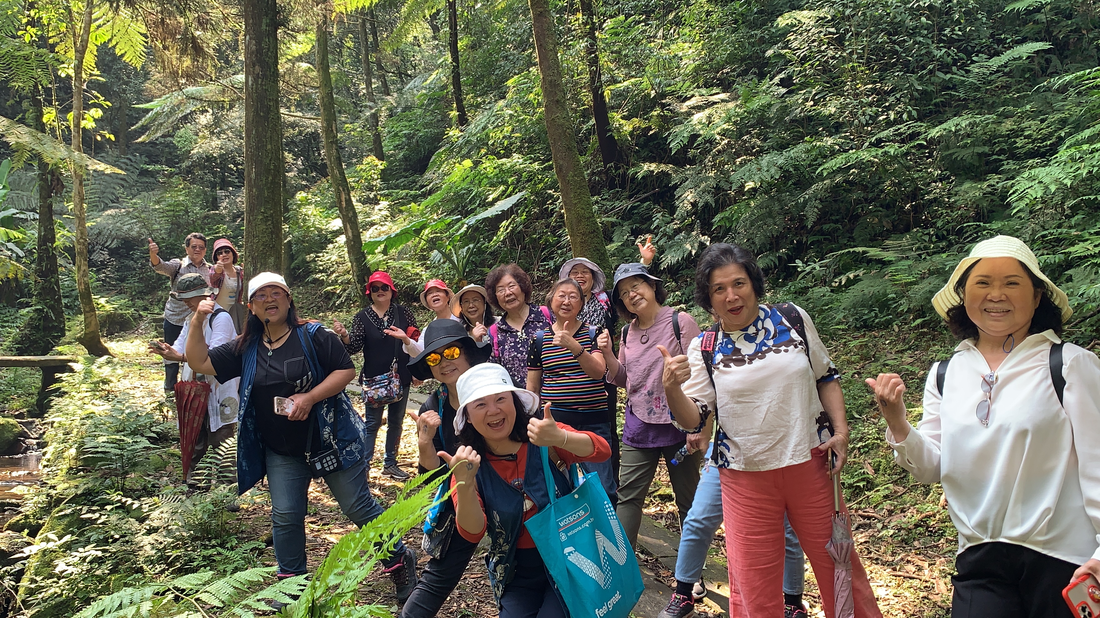 熊空茶園：走訪生態