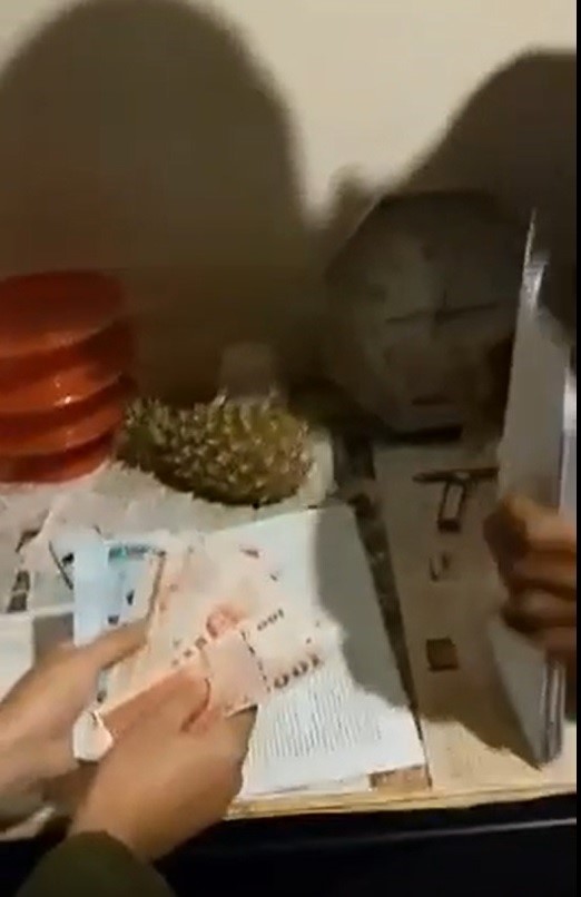 私下違法買賣犬貓