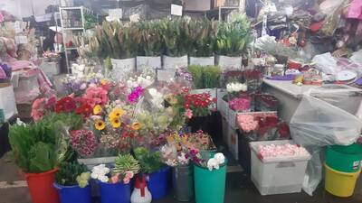 板橋花市攤商銷售花卉