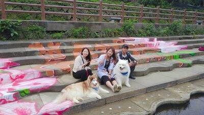 杜鵑基地河岸塗鴉(哈doglife提供)