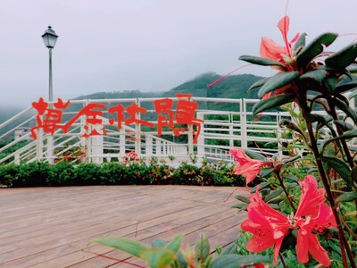 萬里觀光公園打造萬金杜鵑基地