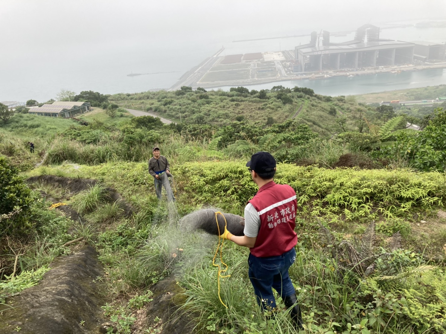 八里掩埋場發現之巨大鳥網，為防止野生動物遭受傷害，動保處人員隨即將其拆除