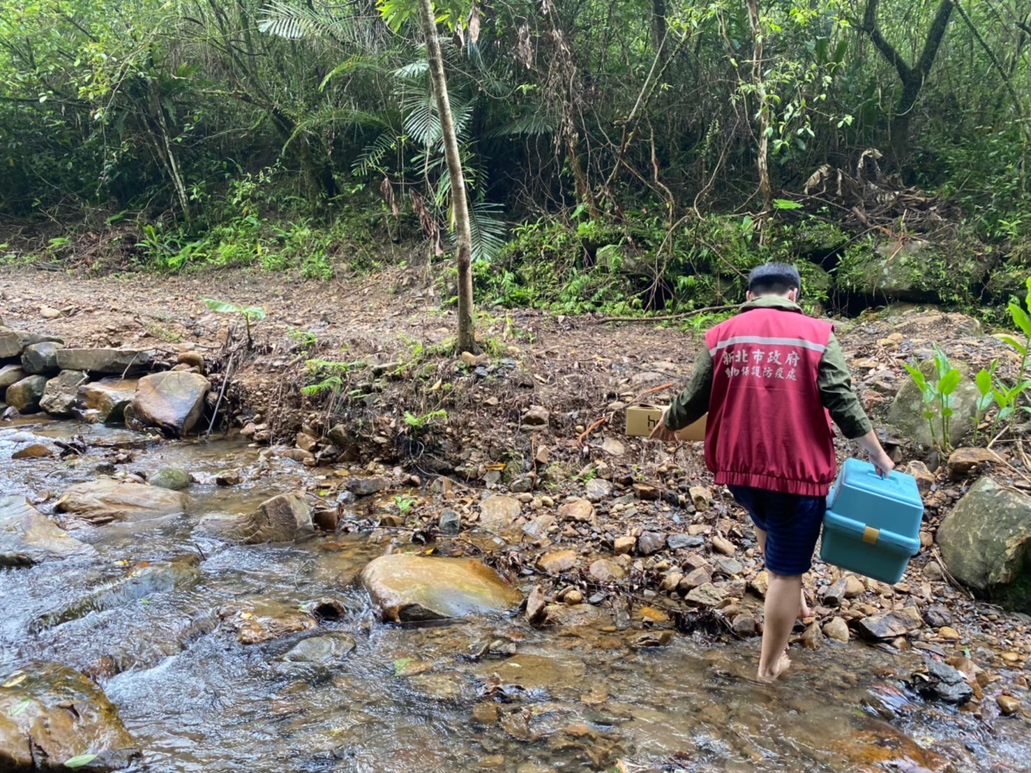 為尋覓適合野放地點，動保處人員跋山涉水