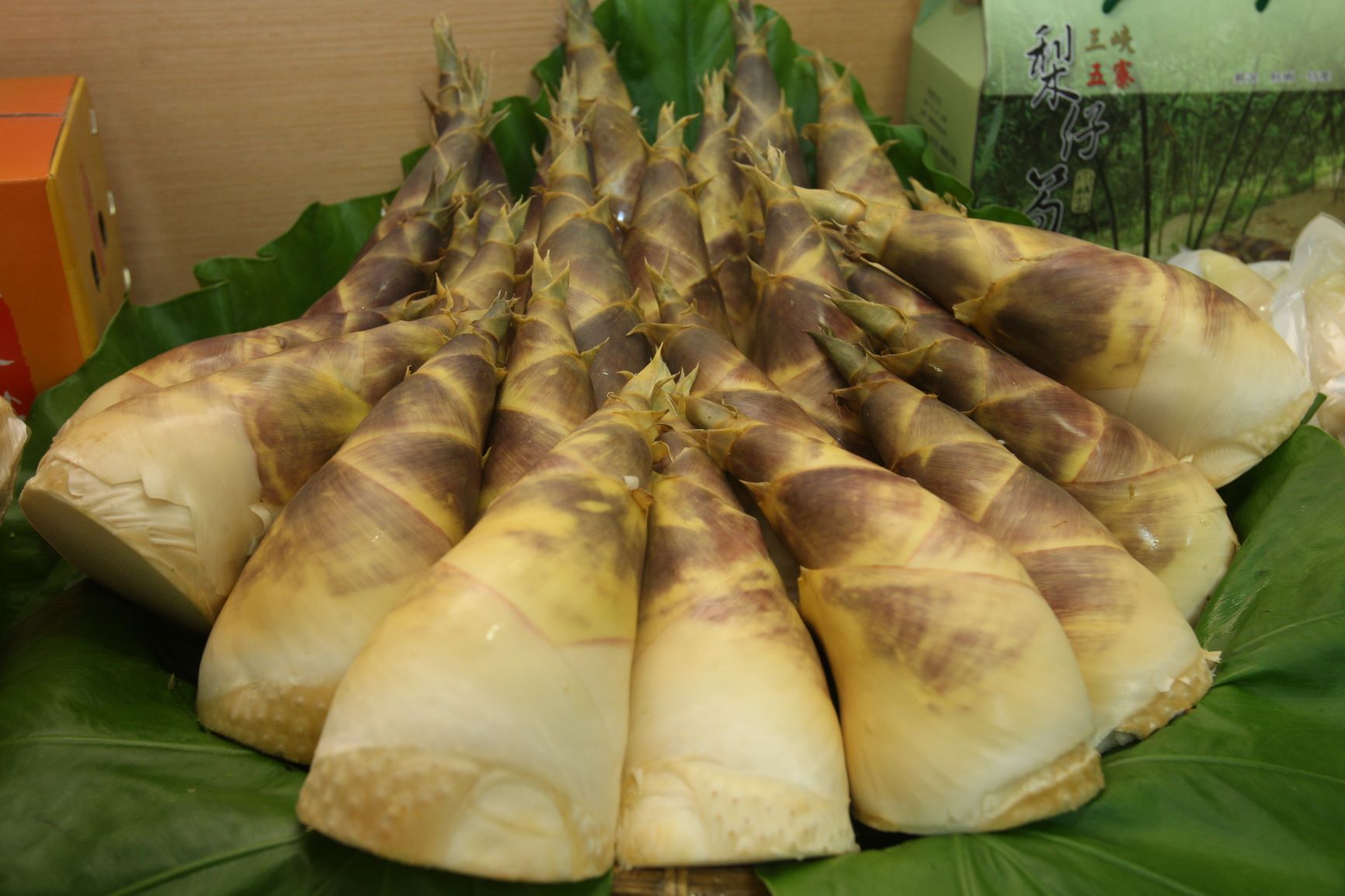 新北綠竹筍