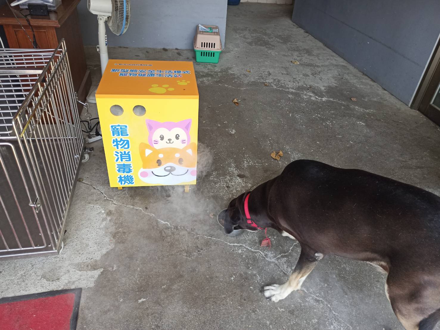 動物之家寵物消毒機免費提供寵物消毒服務