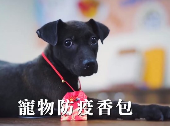 寵物防疫香包可讓毛寶貝佩掛防蚊蟲
