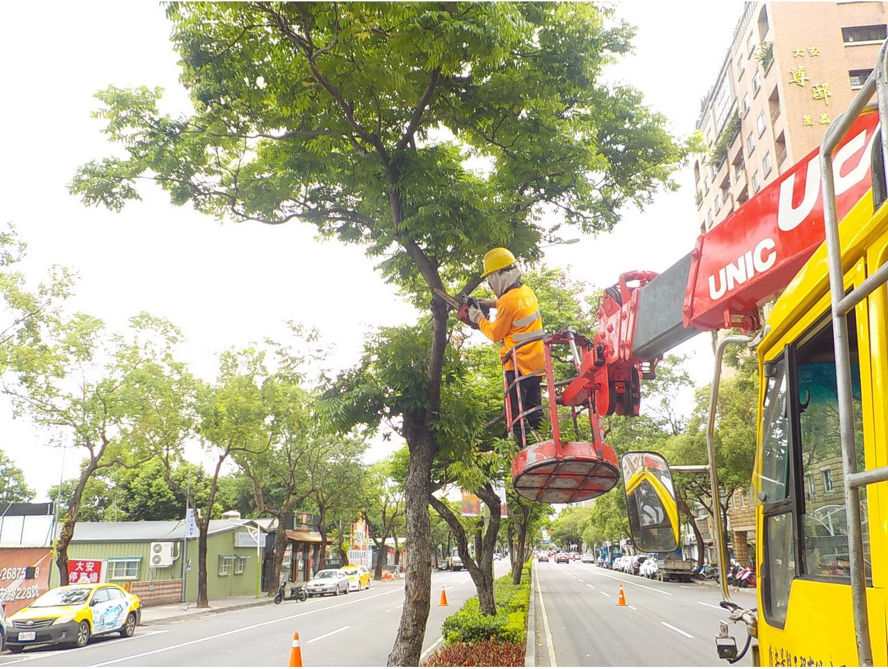 新北市政府於防汛期間巡查重要道路並進行修剪