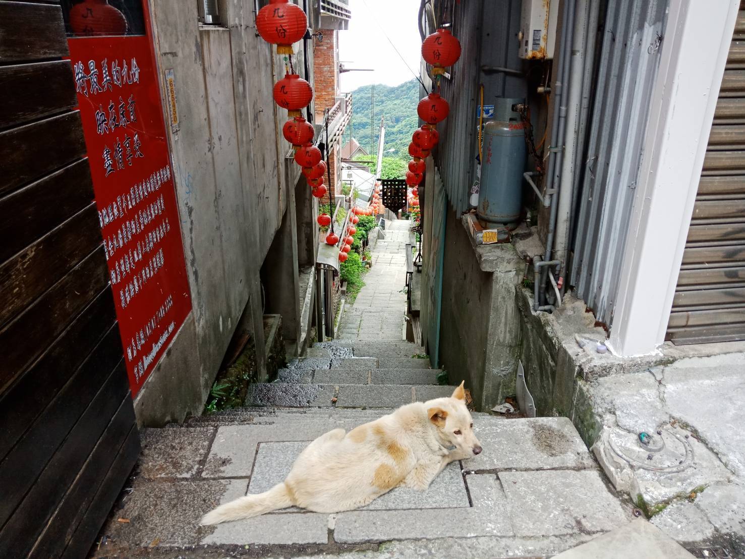 預警.分流.管制 觀旅局祭三道關卡控管人潮