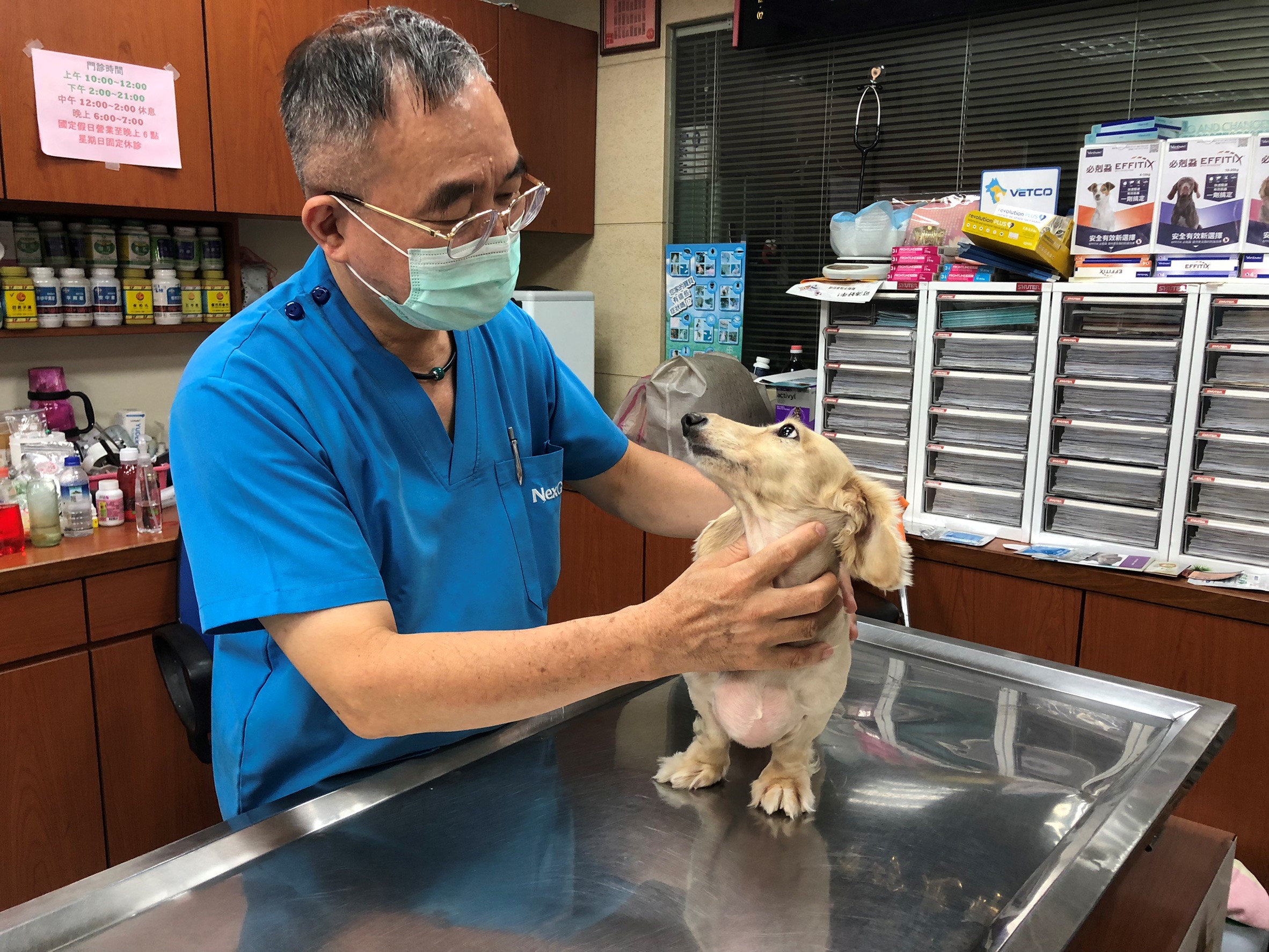 全程配戴口罩為動物檢查及治療。