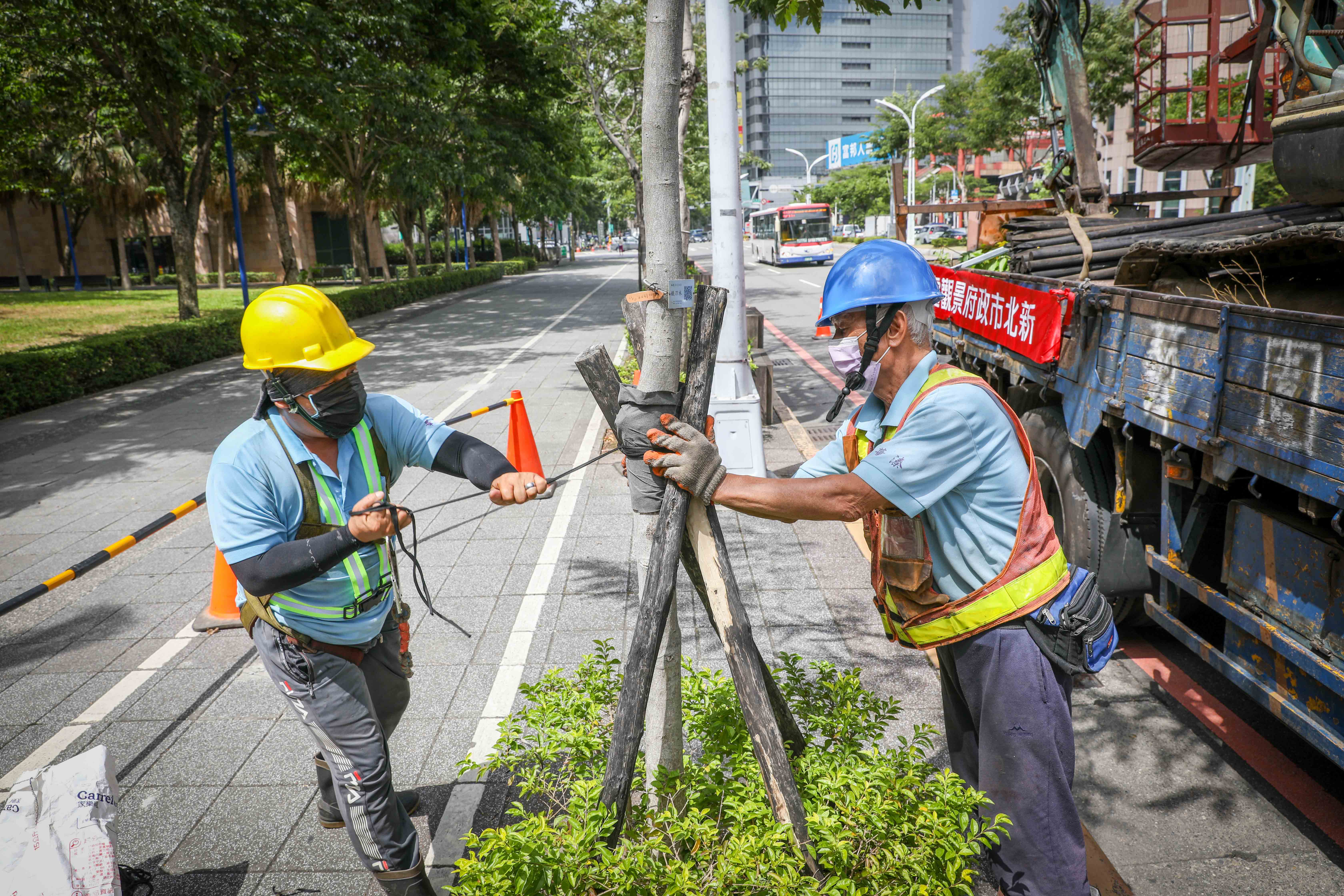 對路樹支架進行巡檢