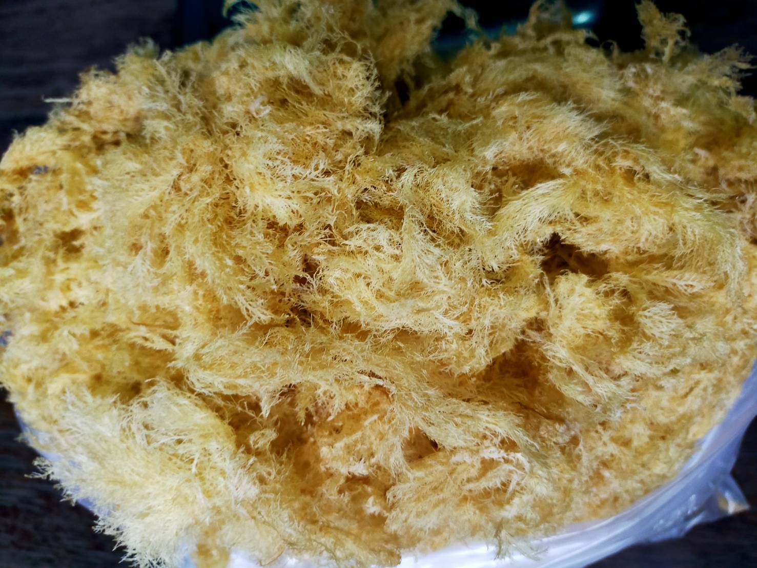 圖4_漁民曝曬石花菜(已完成)