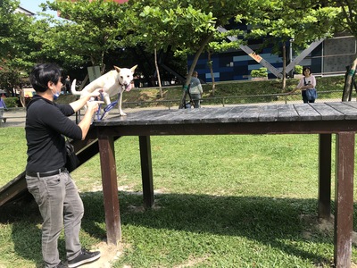 民眾帶著自家狗狗體驗土城寵物公園設施