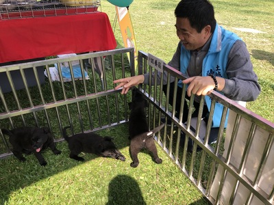 區長陳國欽和認養區的狗狗們互動