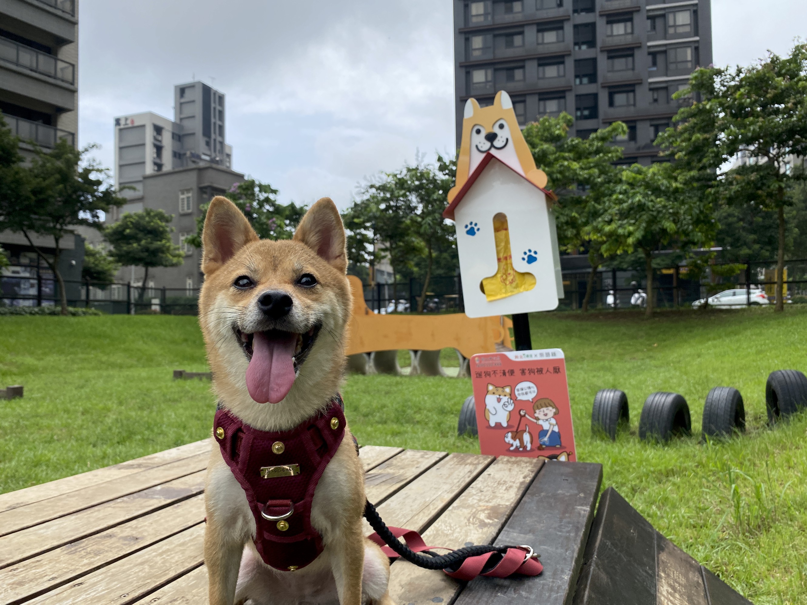 新北市今(9)日正式啟用「新北可愛柴」造型的狗便（袋）箱，提供忘記攜帶清便工具的民眾使用，也呼籲大家遛毛小孩的同時別忘了維護環境清潔
