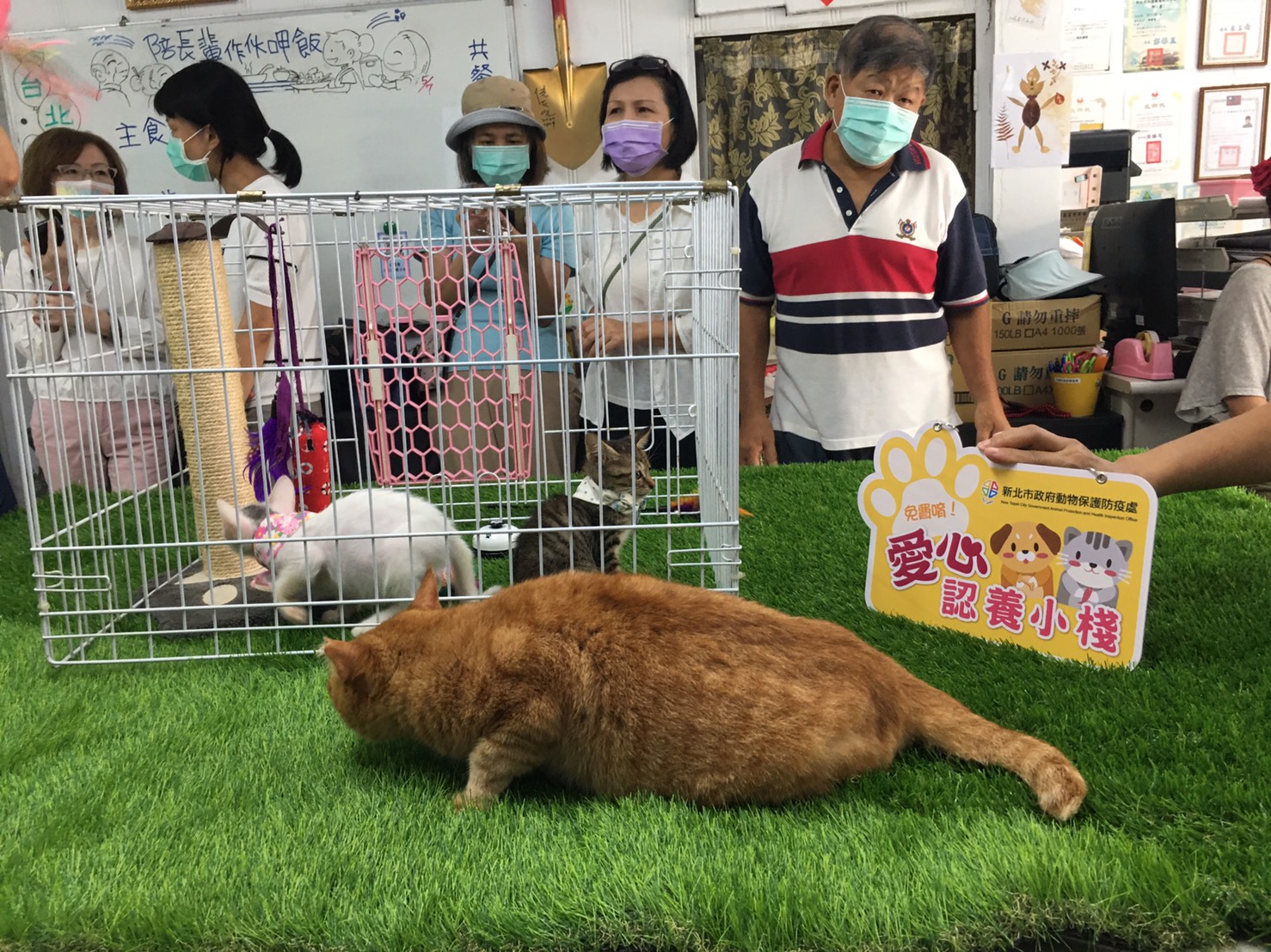 民眾前往里辦公室設置的愛心認養小棧參觀