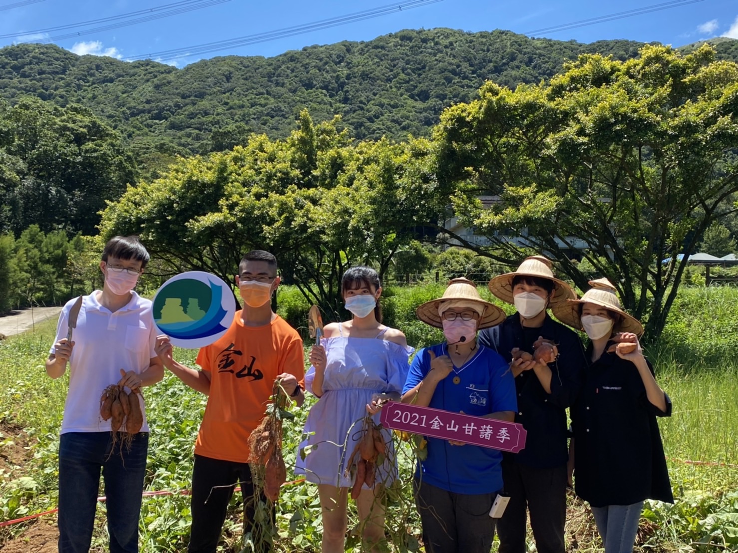 公所與農業局一同推廣2021金山甘藷季線上平台