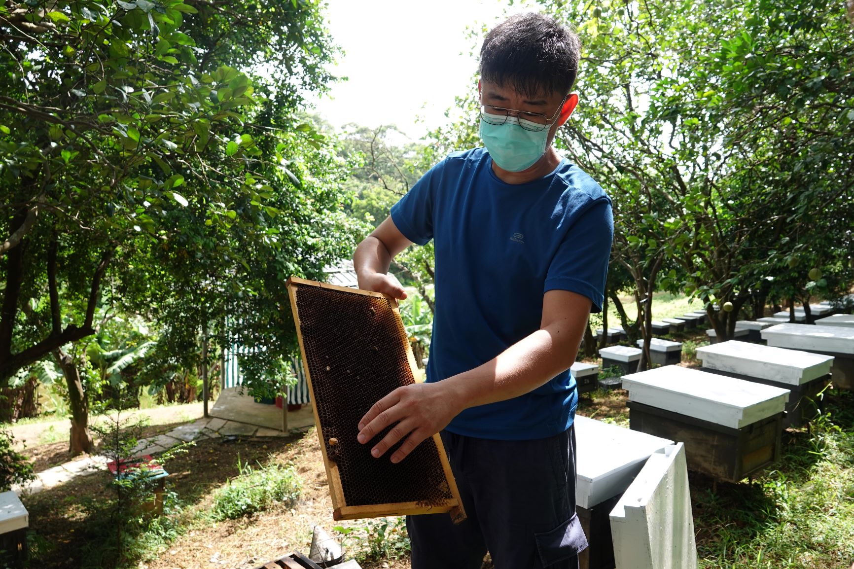 三芝區牧蜂農莊體驗照