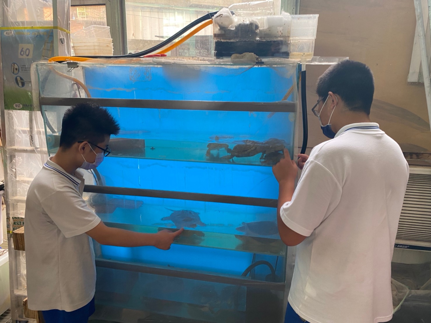 學生於課餘時間協助觀察動物狀況