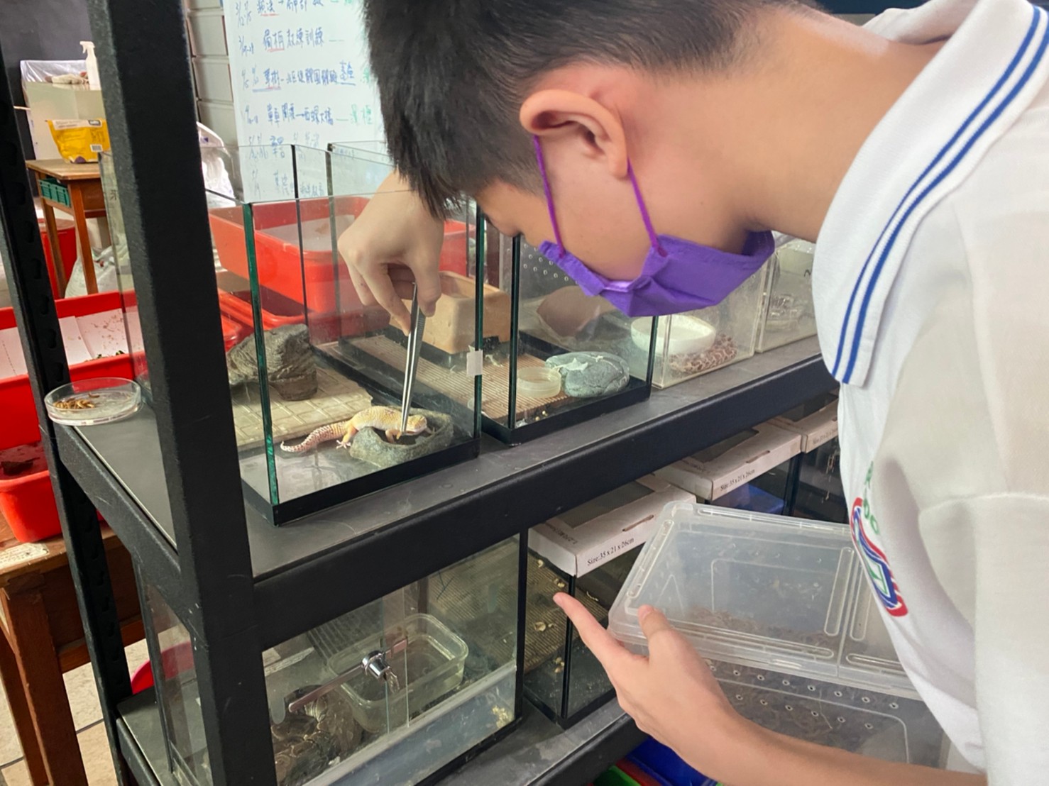 透過親自餵養，除了培養自己的責任心，也發掘自己的興趣所在