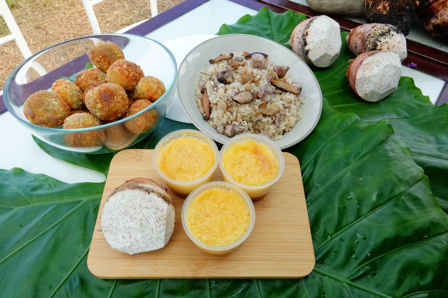 三款跳石芋頭特色餐食照